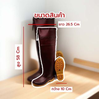 Gallery item 3