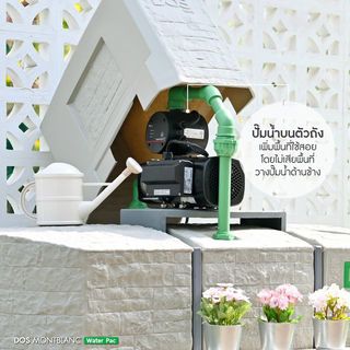 Gallery item 5