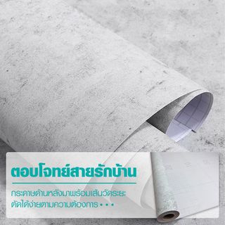Gallery item 4