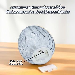 Gallery item 4