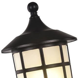 Gallery item 7
