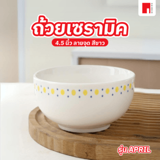 Gallery item 2