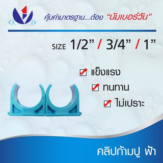 Gallery item 5