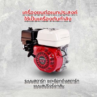Gallery item 6