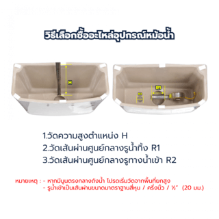 Gallery item 6
