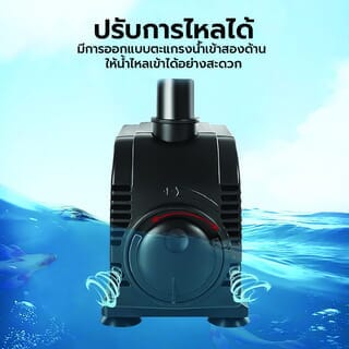 Gallery item 6