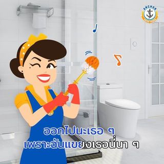 Gallery item 9