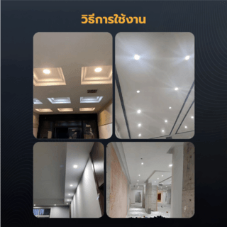 Gallery item 5