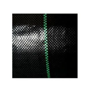 Gallery item 5