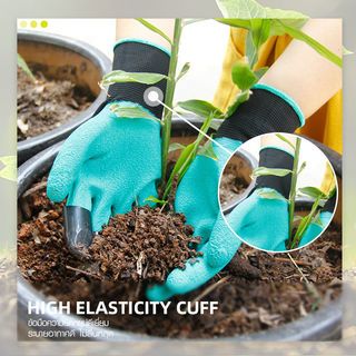 Gallery item 8