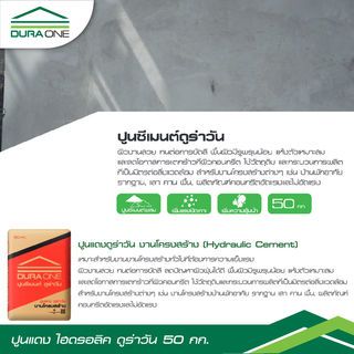 Gallery item 3