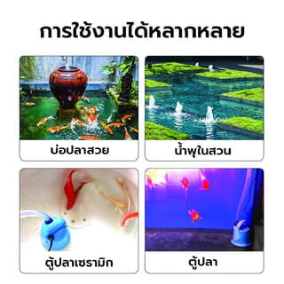 Gallery item 5
