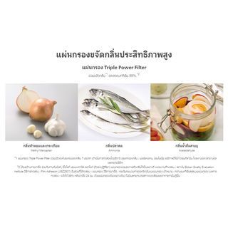 Gallery item 5
