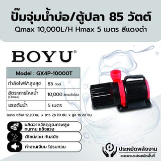 Gallery item 1