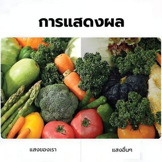 Gallery item 7