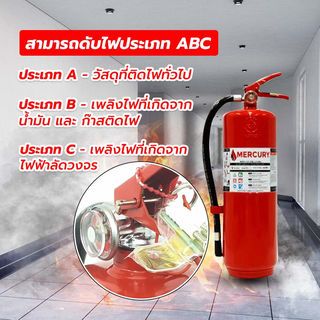 Gallery item 5