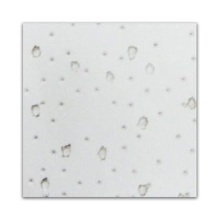 Gallery item 1