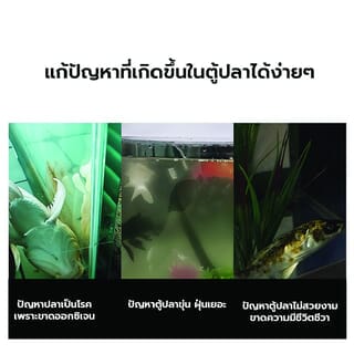 Gallery item 4