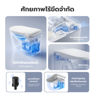 Gallery item 9