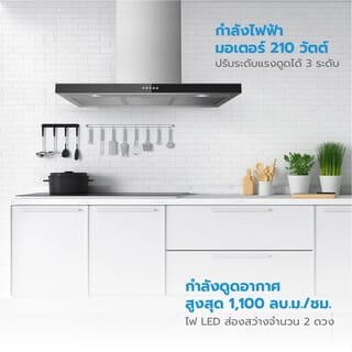 Gallery item 5
