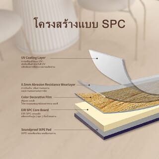 Gallery item 6