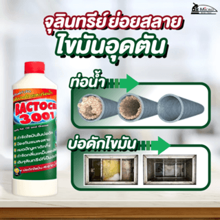 Gallery item 7