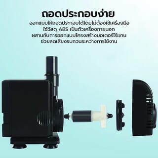 Gallery item 4