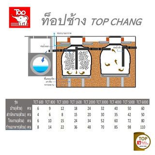 Gallery item 7