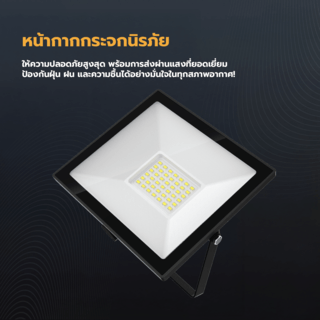 Gallery item 6