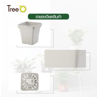 Gallery item 5