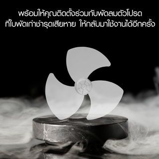 Gallery item 5