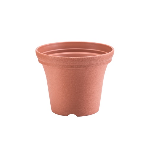 Gallery item 2