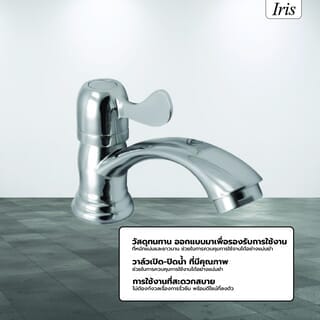 Gallery item 2