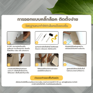 Gallery item 9