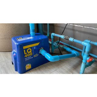 Gallery item 6