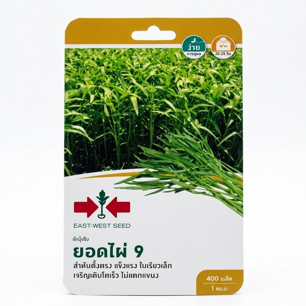 ศรแดง เมล็ดพันธุ์-ผักบุ้ง ยอดไผ่ 9