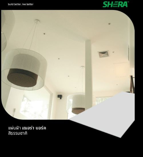 เฌอร่า บอร์ด โปร 0.4x120x240ซม. สีธรรมชาติ