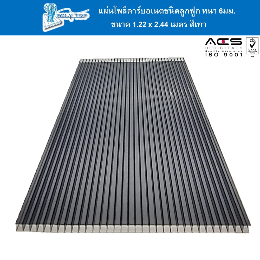POLYTOP แผ่นโพลีคาร์บอเนต หนา 6มม. ขนาด 1.22 x 2.44 เมตร สีเทา