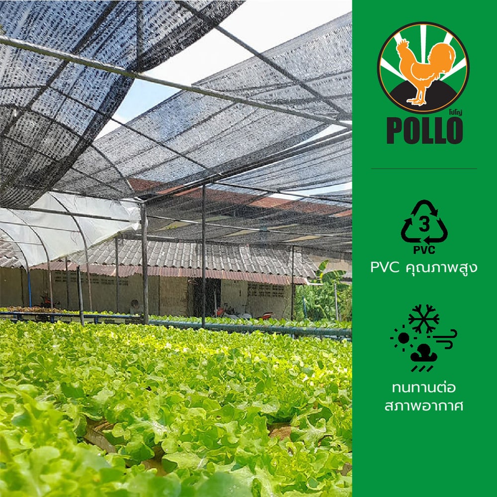 POLLO สแลน HDPE รุ่นSH-3211-55 ขนาด2x50ม. 50%(สามเข็ม) สีดำ