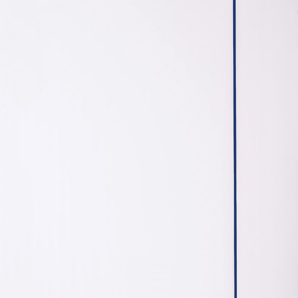 WELLINGTAN ประตู UPVC Profile รุ่น WT1 (สำหรับใช้ห้องน้ำภายใน) เซาะร่องเส้นสีน้ำเงิน ขนาด 70x200 ซม. สีขาว (เจาะลูกบิด)