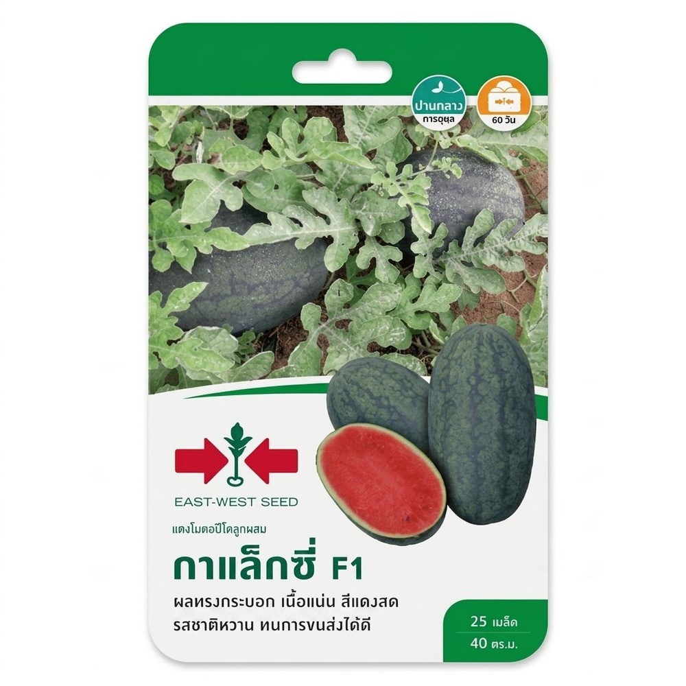 ศรแดง เมล็ดพันธุ์-แตงโมตอปิโดลูกผสม กาแล็กซี่ F1