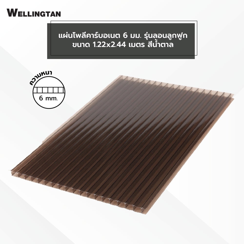 WELLINGTAN แผ่นโพลีคาร์บอเนต 6 มม. ขนาด 1220x2440 มม.สีน้ำตาล