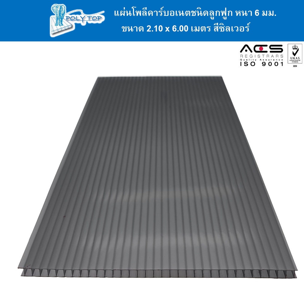 POLYTOP แผ่นโพลีคาร์บอเนต หนา 6มม. ขนาด 2.10 x 6 เมตร สีซิลเวอร์