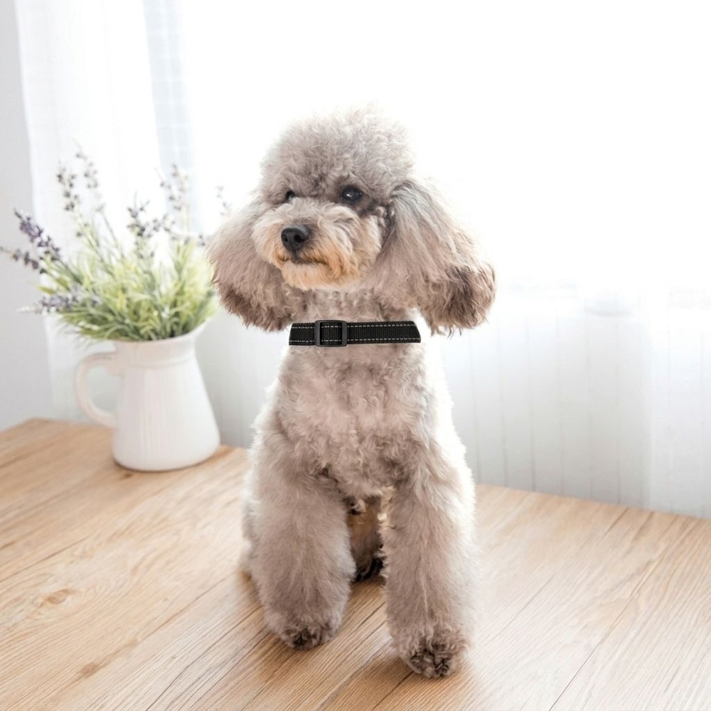 ปลอกคอสัตว์เลี้ยงปรับได้ รุ่น PT020L ไซส์ L ขนาด 2.0x30x0.2ซม. สีดำ DUDUPETS