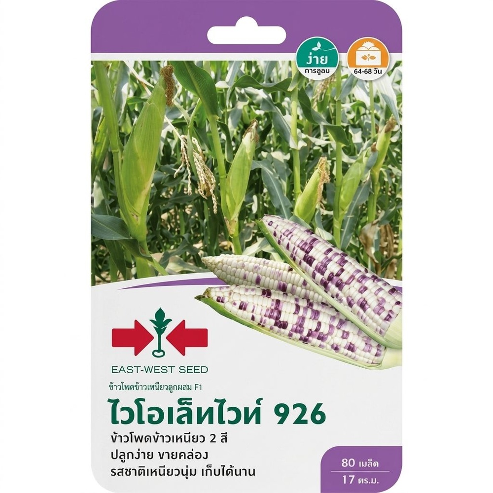 ศรแดง เมล็ดพันธุ์-ข้าวโพดข้าวเหนียวลูกผสม ไวโอเล็ทไวท์ 926 F1