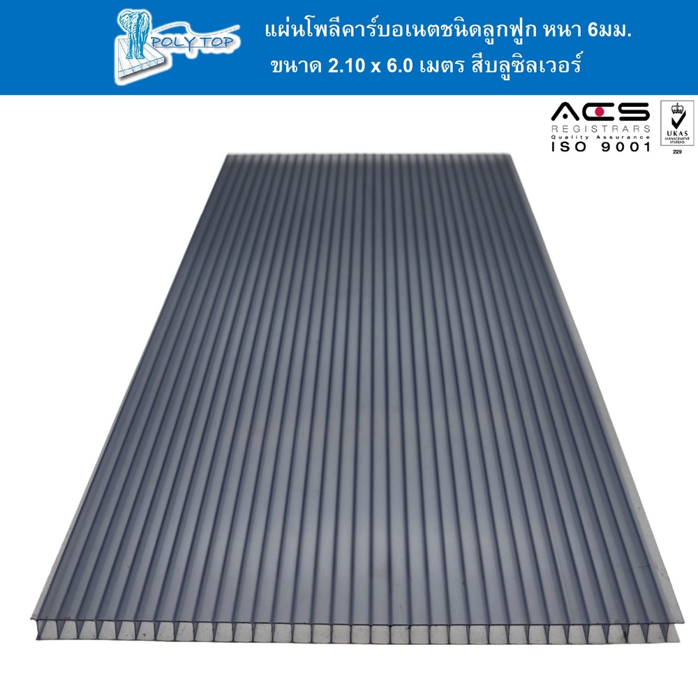 POLYTOP แผ่นโพลีคาร์บอเนต หนา 6มม. ขนาด 2.10 x 6 เมตร สีบลูซิลเวอร์