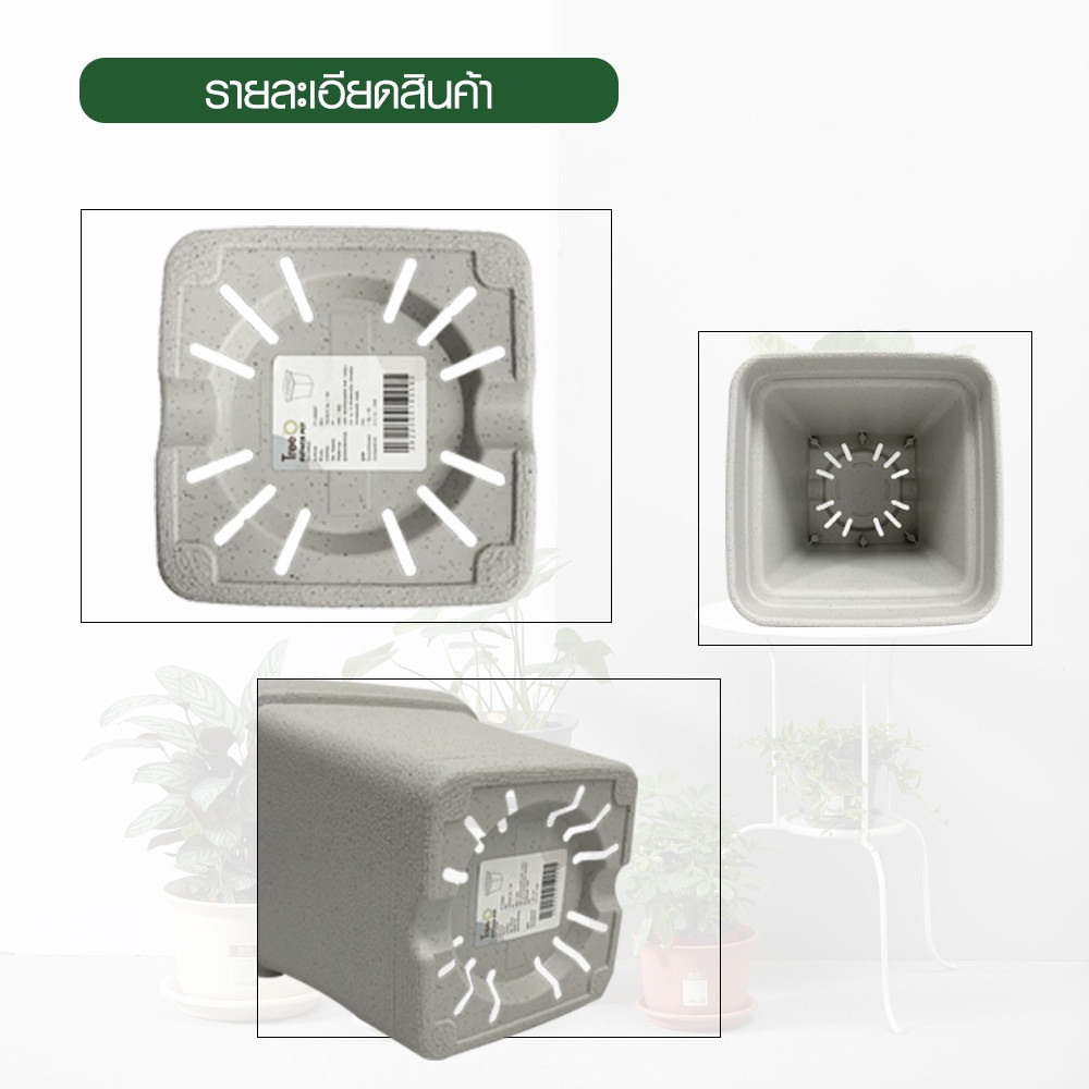 Tree’ O กระถางต้นไม้ รุ่น 6PY022-WH ขนาด 15 x 15 x 14 ซม. (6นิ้ว) สีขาว