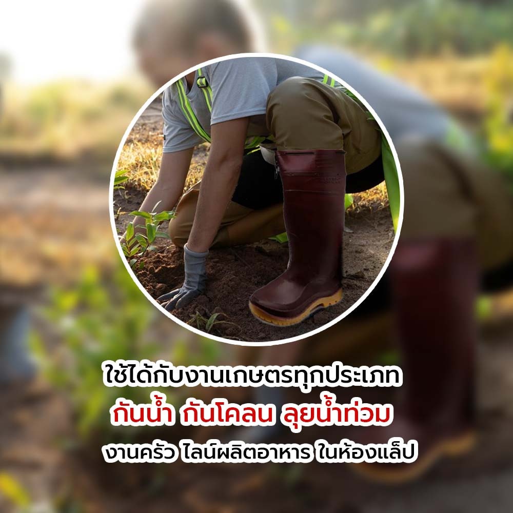 รองเท้าบูทกันฉี่หนู ยาว 18" เบอร์ 10-1/2