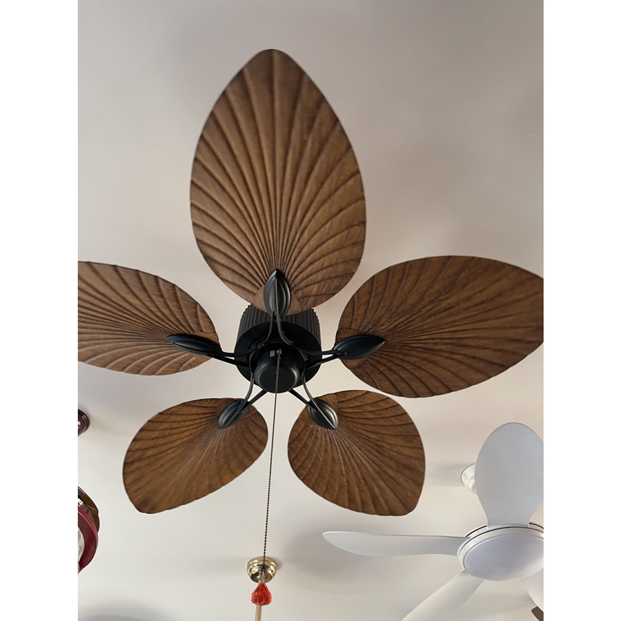 EILON พัดลมเพดานหรูหรา 5 ใบพัด 52" มีโซ่ดึง รุ่น 48DY-504WN-1L สีไม้เข้ม