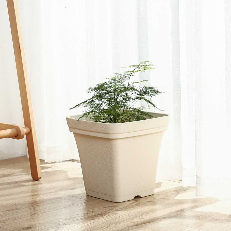 Tree’ O กระถางต้นไม้ รุ่น 6PY022-BE ขนาด 15 x 15 x 14 ซม. (6นิ้ว) สีน้ำตาลอ่อน